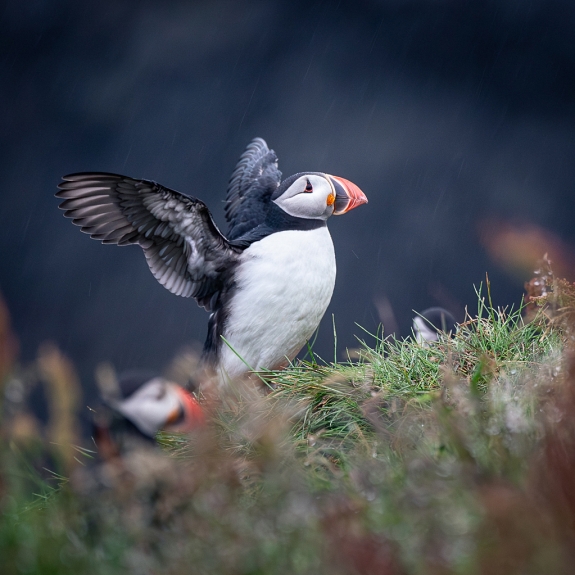 Islande © Xavier Beaudoux