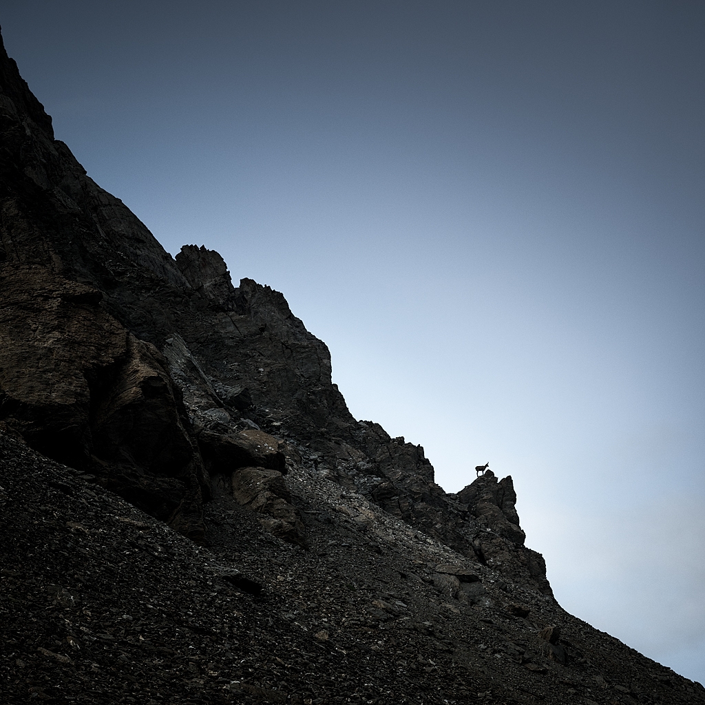 Alpes © Xavier Beaudoux