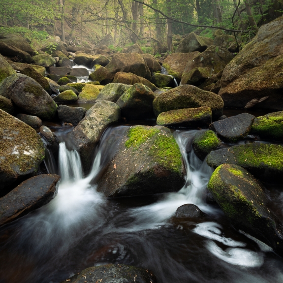 Angleterre © Xavier Beaudoux