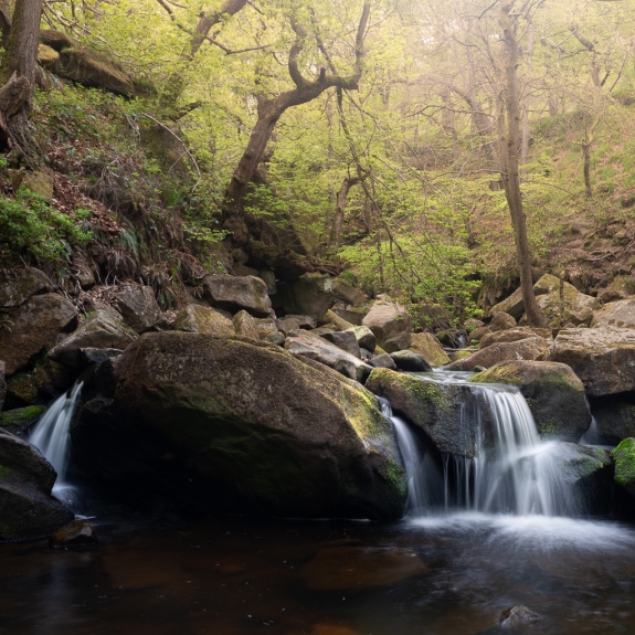 Angleterre © Xavier Beaudoux