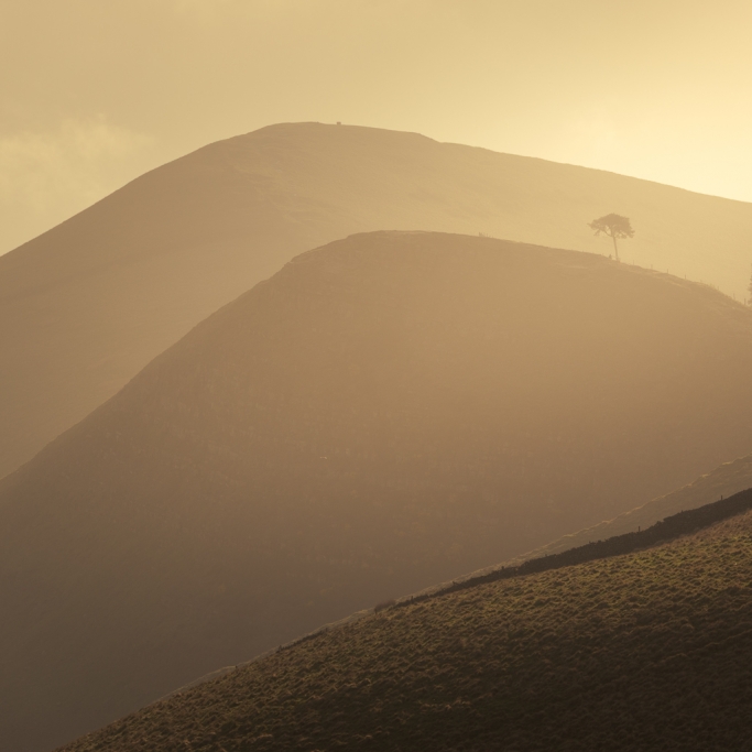 Angleterre © Xavier Beaudoux
