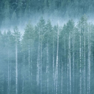 Canada © Xavier Beaudoux