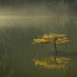 Canada © Xavier Beaudoux