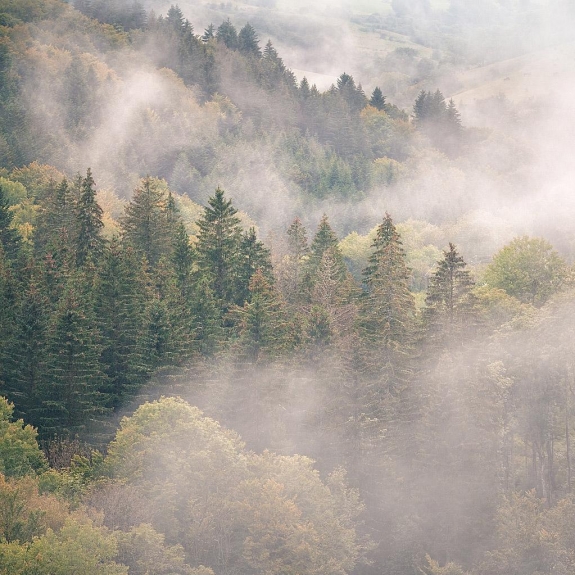 Auvergne © Xavier Beaudoux