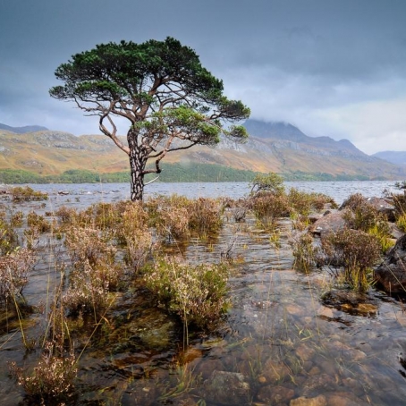Ecosse © Xavier Beaudoux