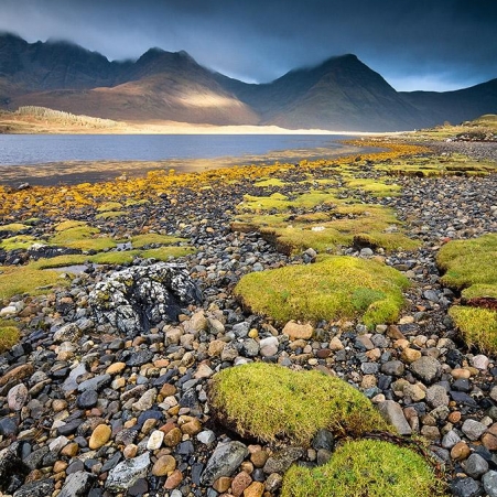 Ecosse © Xavier Beaudoux