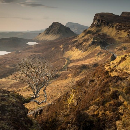 Ecosse © Xavier Beaudoux