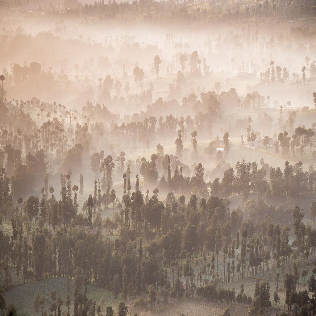 Indonésie © Xavier Beaudoux