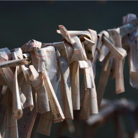 Japon © Xavier Beaudoux