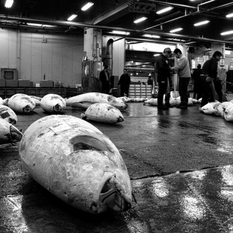 Japon © Xavier Beaudoux