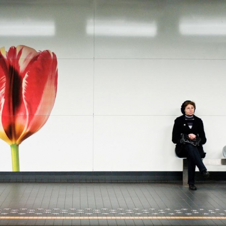 Street © Xavier Beaudoux