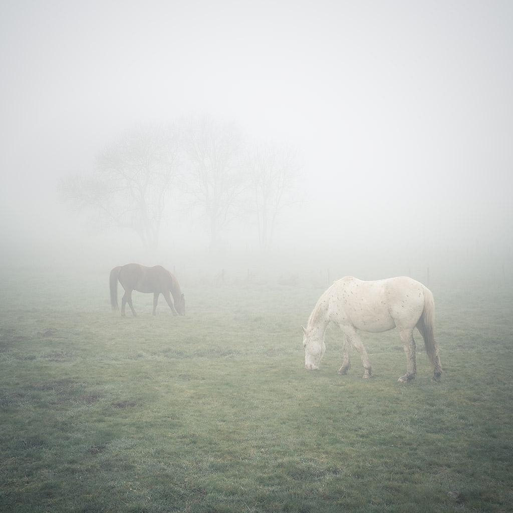 Monts du Lyonnais © Xavier Beaudoux