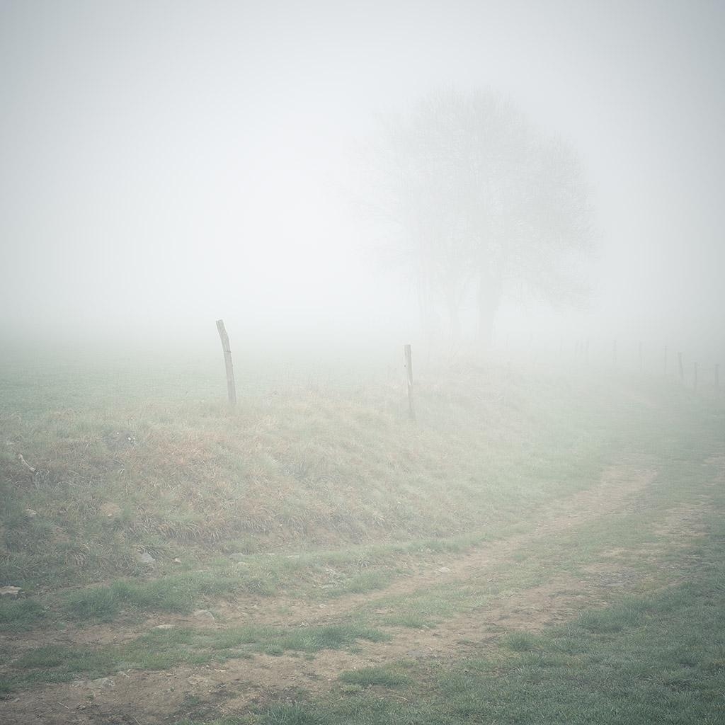 Monts du Lyonnais © Xavier Beaudoux