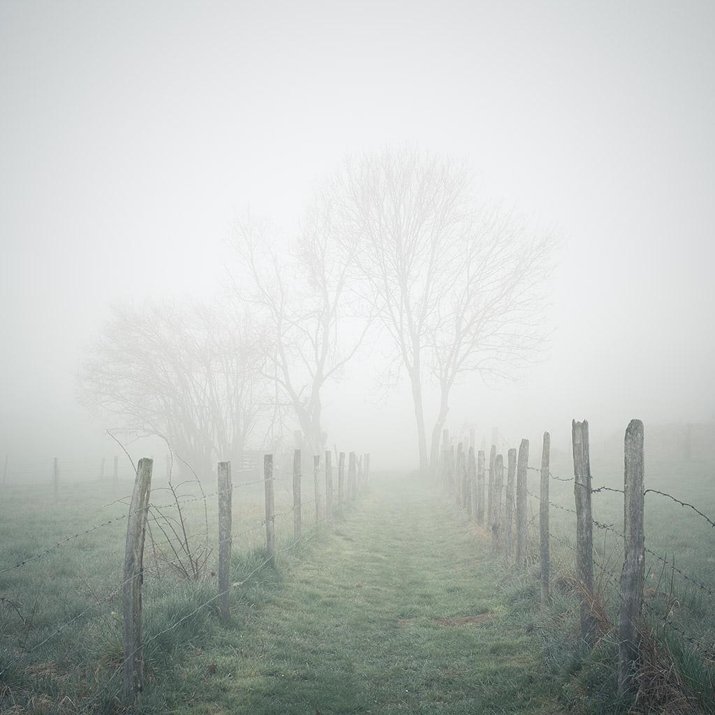 Monts du Lyonnais © Xavier Beaudoux