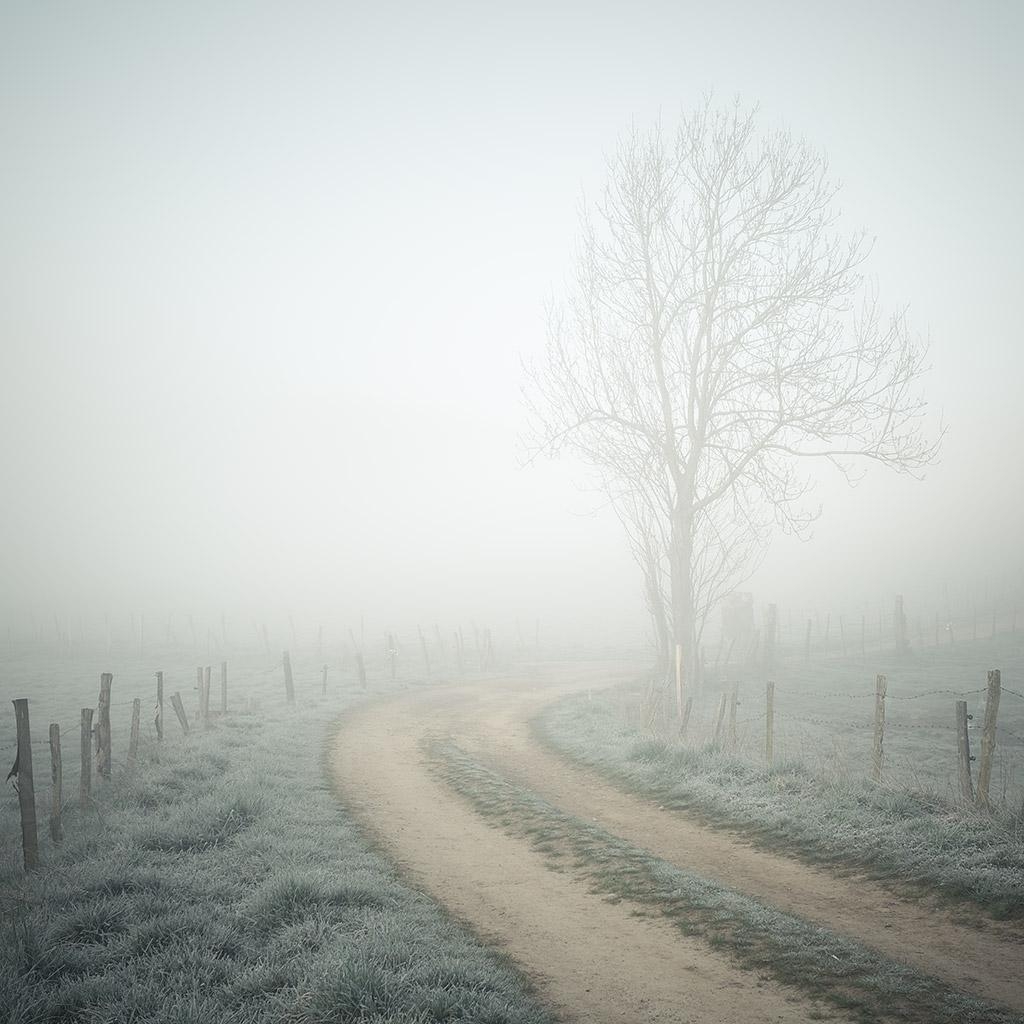 Monts du Lyonnais © Xavier Beaudoux