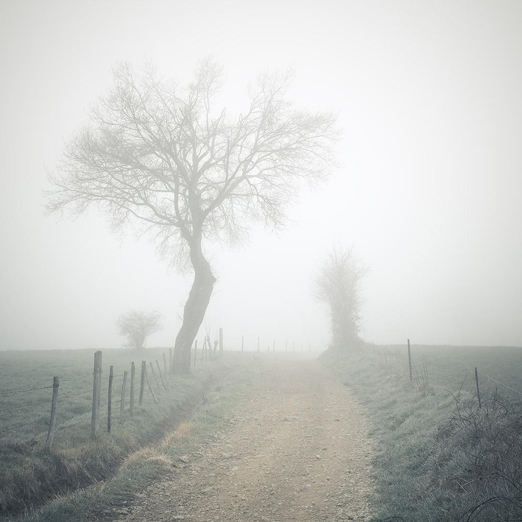 Monts du Lyonnais © Xavier Beaudoux