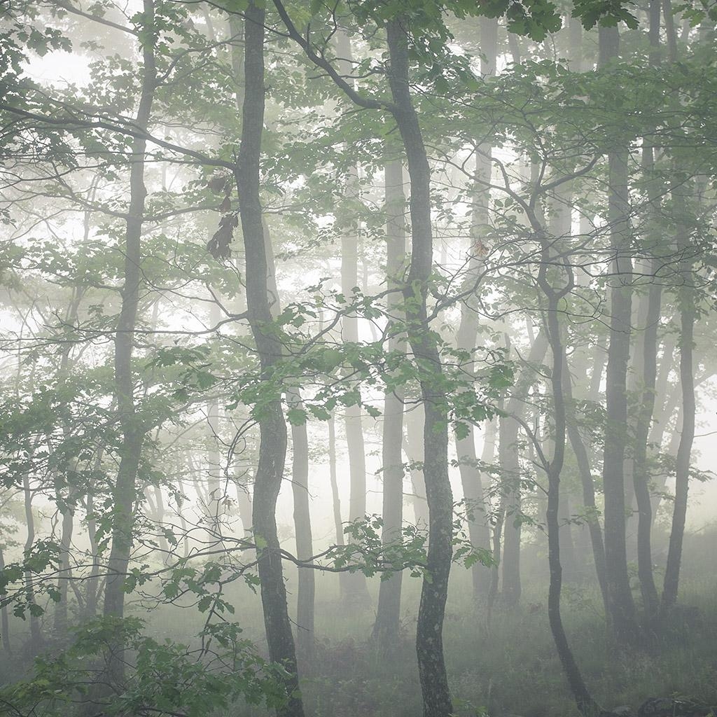Monts du Lyonnais © Xavier Beaudoux