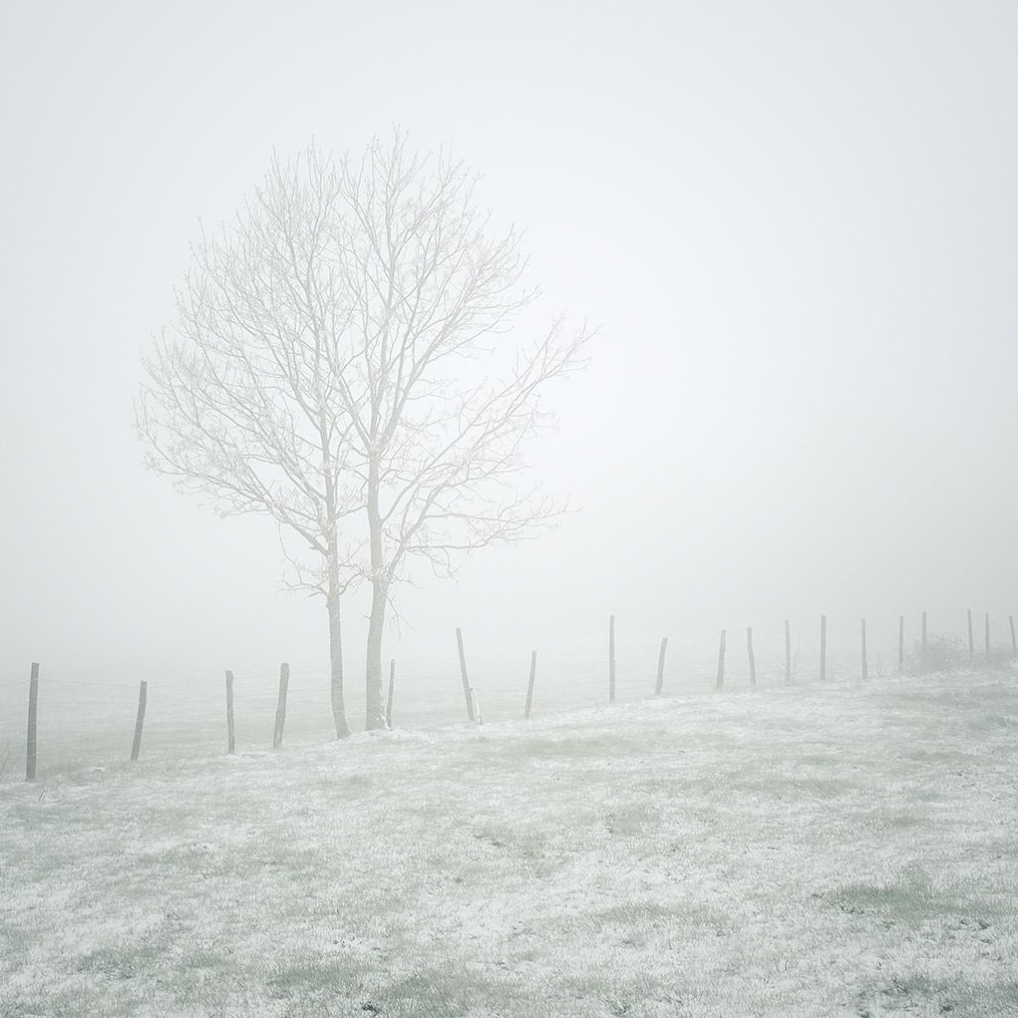 Monts du Lyonnais © Xavier Beaudoux