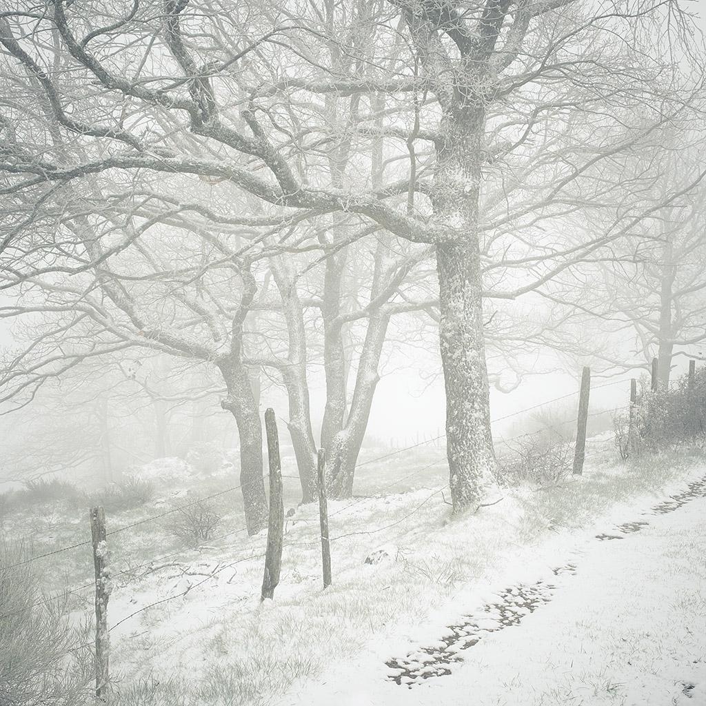 Monts du Lyonnais © Xavier Beaudoux