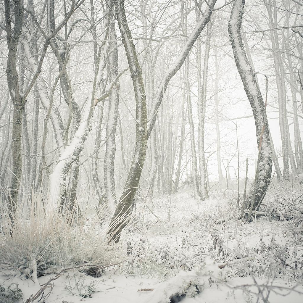 Monts du Lyonnais © Xavier Beaudoux